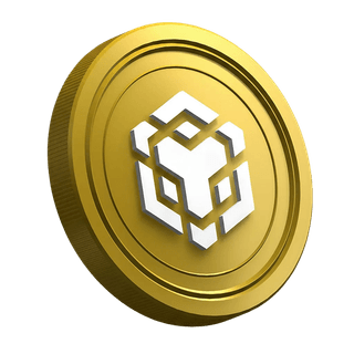 Criptomoneda BNB dentro de una página de guía para traders nuevos
